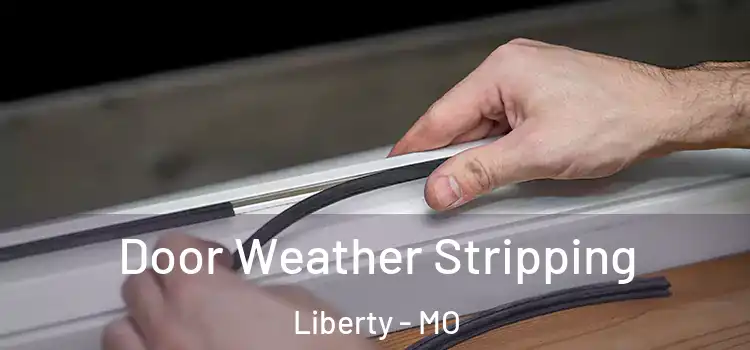 Door Weather Stripping Liberty - MO