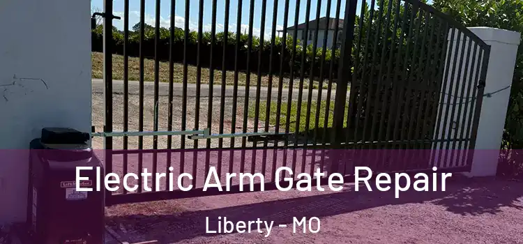 Electric Arm Gate Repair Liberty - MO