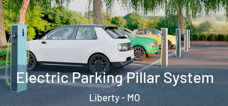  Electric Parking Pillar System Liberty - MO