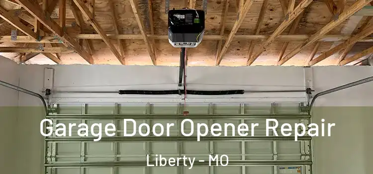  Garage Door Opener Repair Liberty - MO