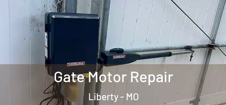 Gate Motor Repair Liberty - MO