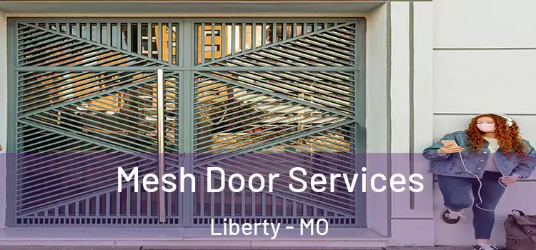 Mesh Door Services Liberty - MO